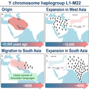 1-s2.0-S2589004224012410-fx1