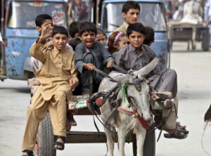 pakistani-children-enjoy-donkey-cart-ride-they-550nw-7971788e